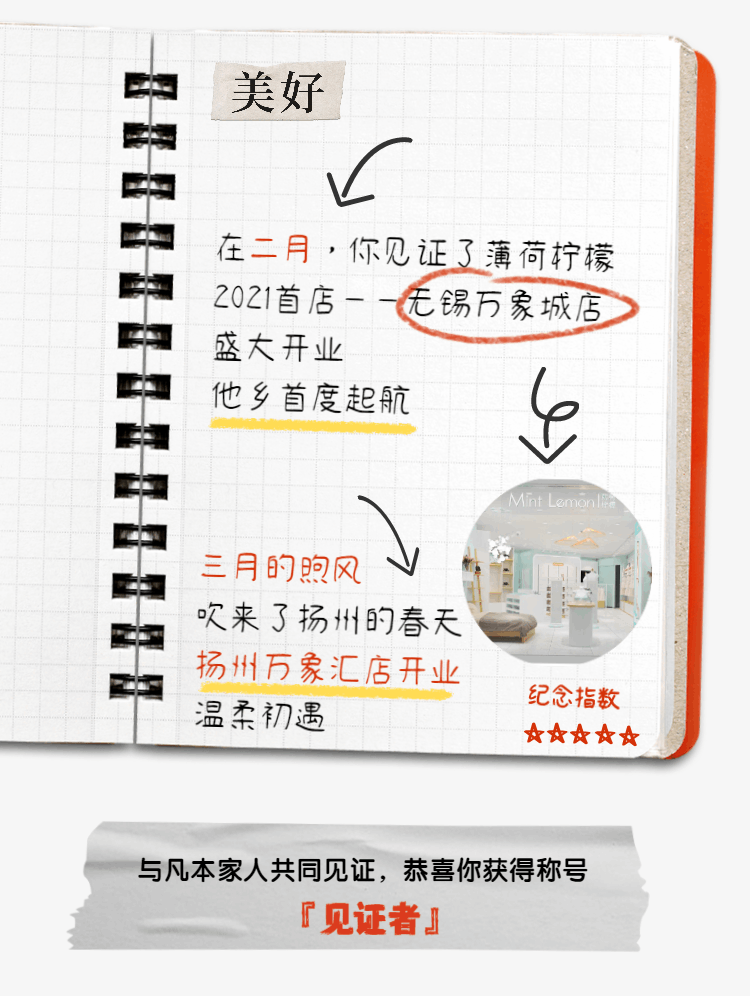 2021，薄荷柠檬年度报告(图2)