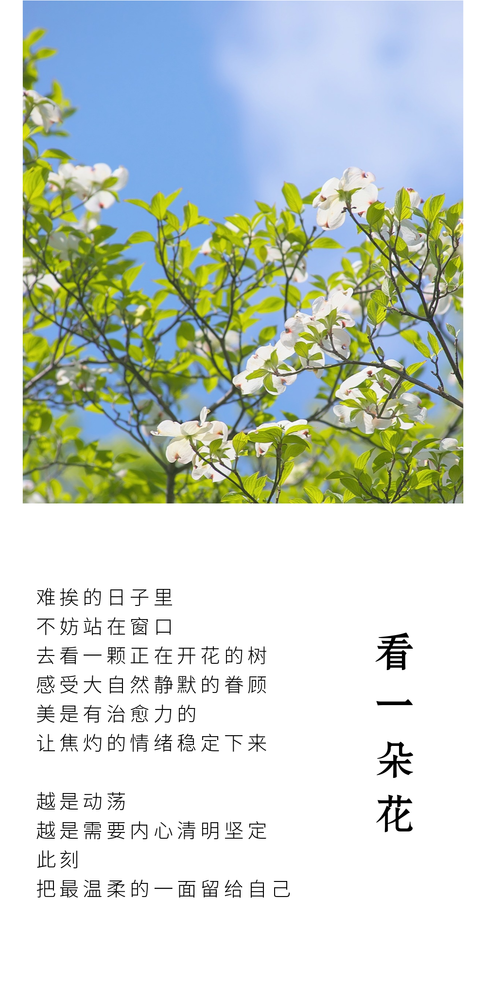 天晴过后总会有彩虹(图2)