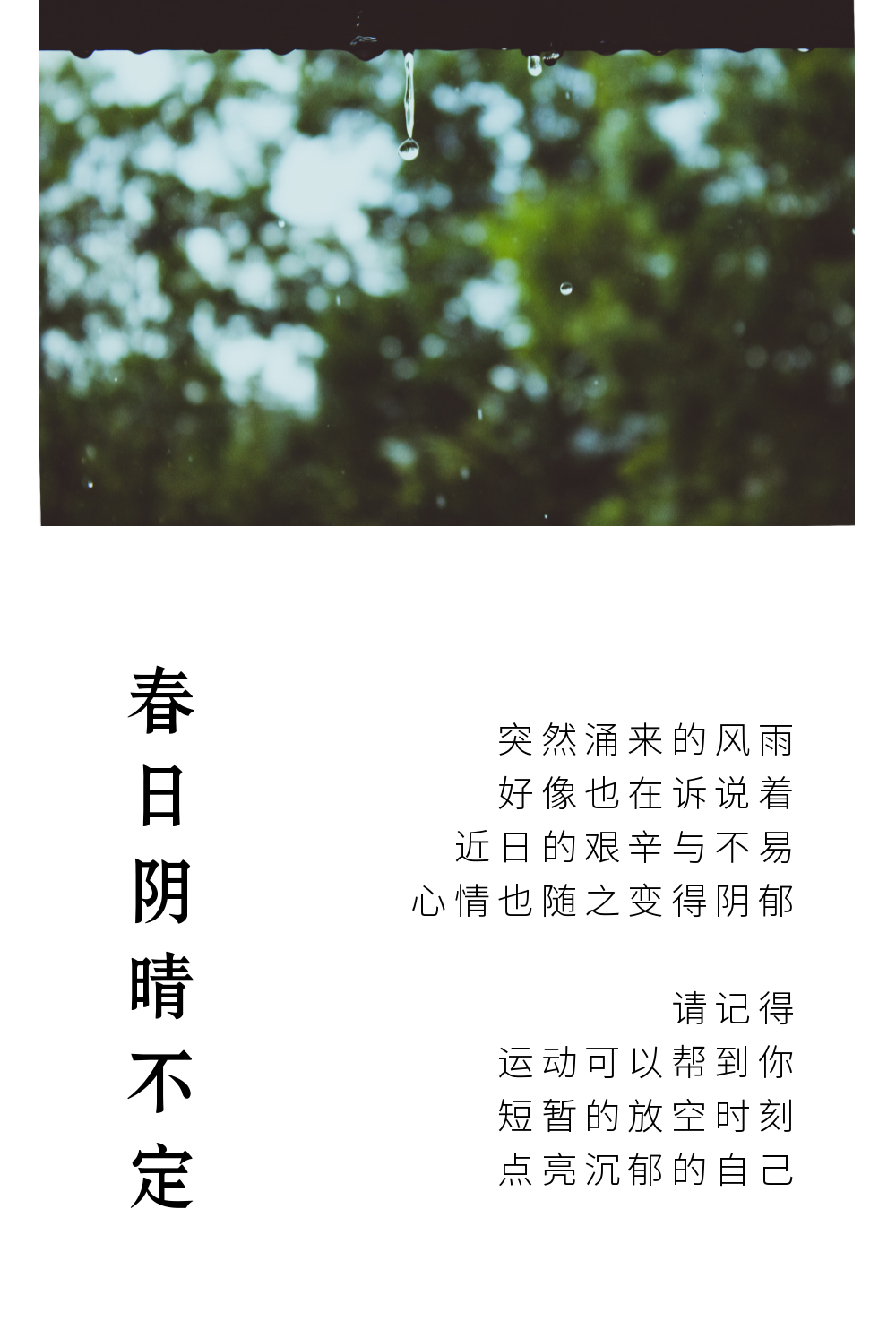 天晴过后总会有彩虹(图4)